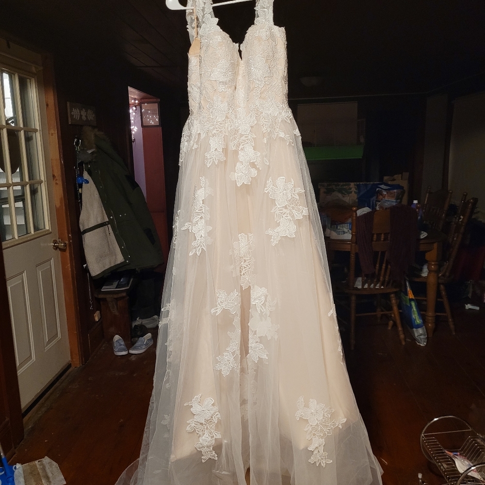 Hebeos wedding dress  Champagne Ivory size 10